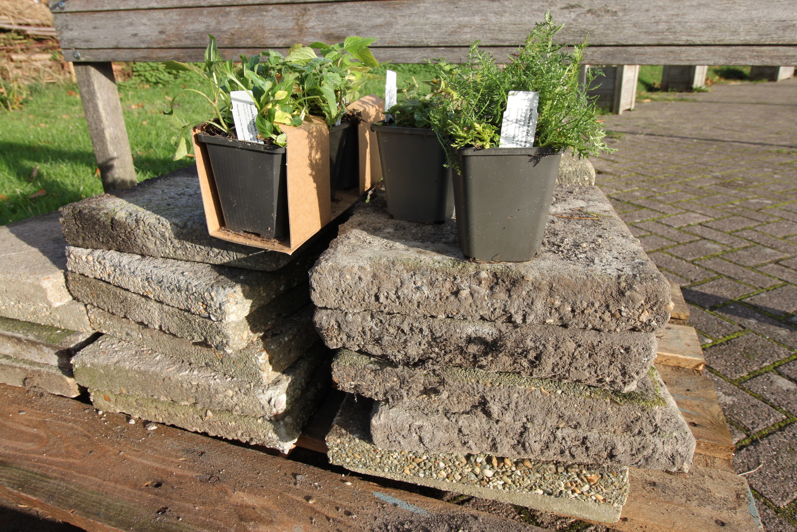 Groene tuin-pakket