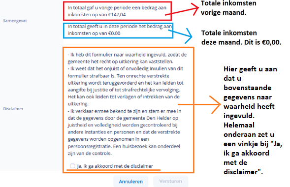 Voorbeeldscherm Keuze geen inkomsten disclaimer