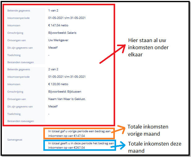 Voorbeeldscherm keuze andere inkomsten bijklussen