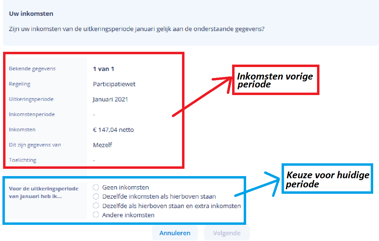 Voorbeeldscherm Keuzes inkomstenverklaring
