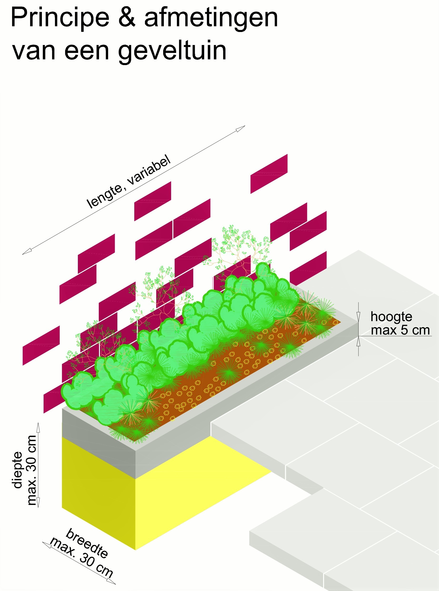 Principe en afmetingen van een geveltuin