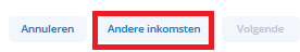 Voorbeeldscherm andere inkomsten extra info