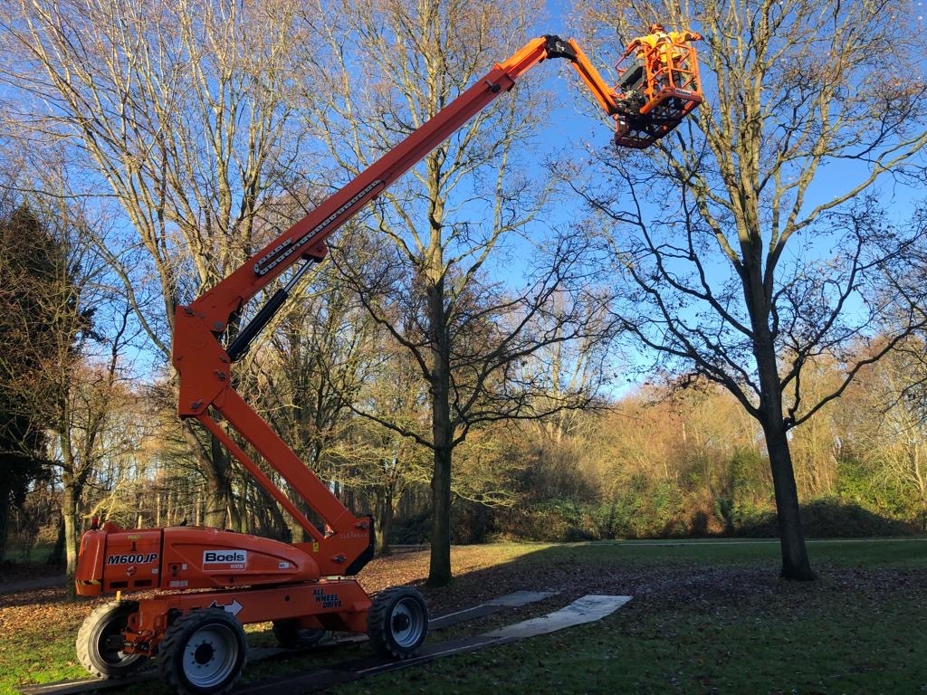 Bomen snoeien met hoogwerker